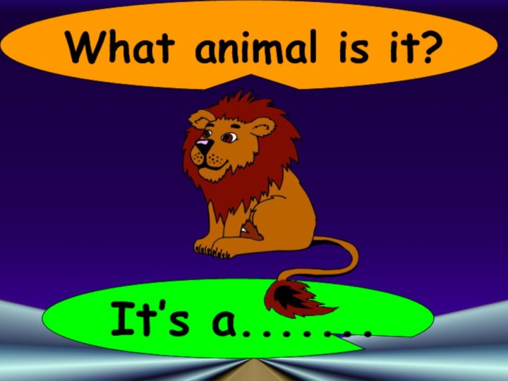 What animal is it?It’s a.......