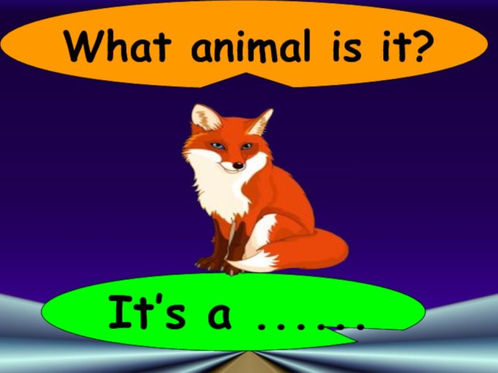 What animal is it?It’s a ......