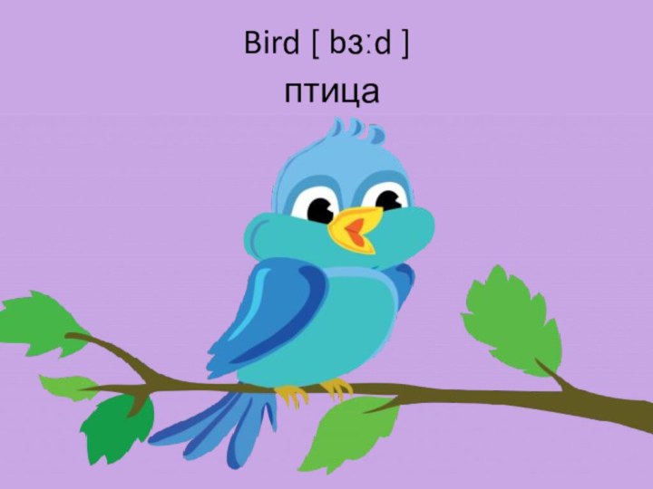 Bird [ bɜːd ]  птица