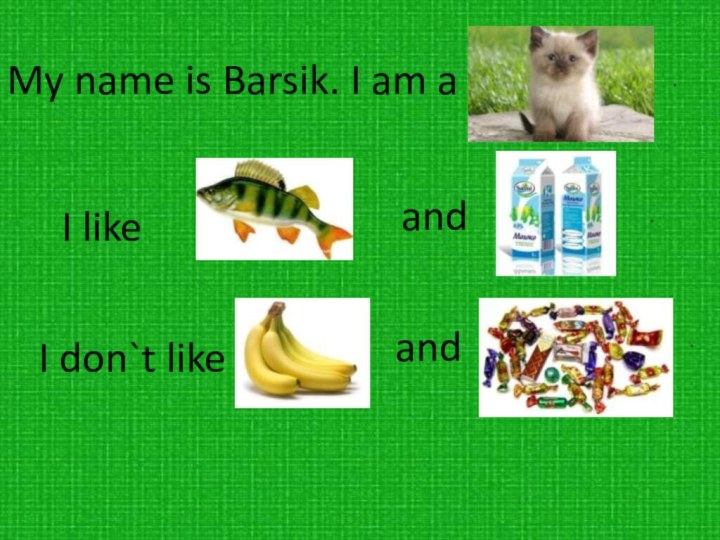 My name is Barsik. I am a I like and..I don`t like and.