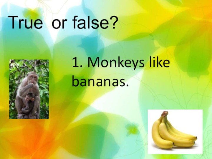 True or false?1. Monkeys like bananas.