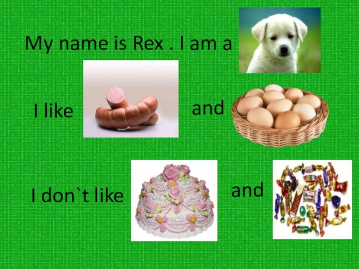 My name is Rex . I am a .I like and.I don`t like and
