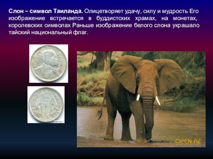 Слон – символ Таиланда. Олицетворяет удачу, силу и мудрость Его изображение встречается
