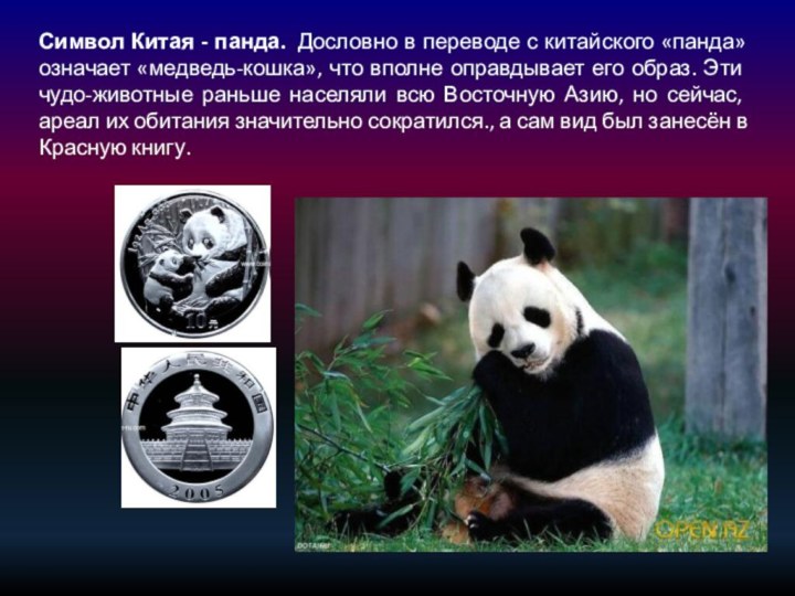 Символ Китая - панда.  Дословно в переводе с китайского «панда» означает «медведь-кошка»,