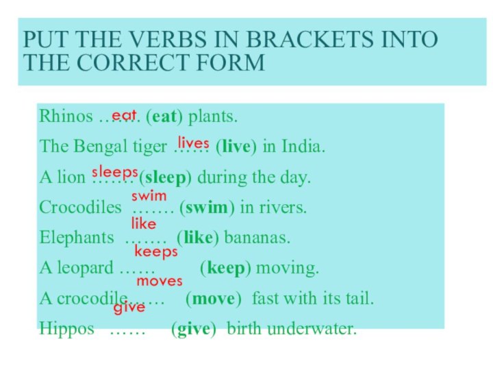 Put the verbs in brackets into the correct formRhinos ……. (eat)