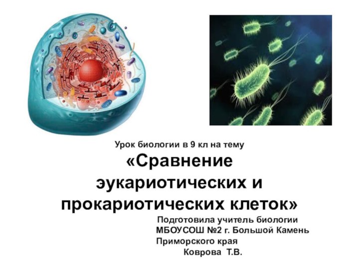 Урок биологии в 9 кл на тему «Сравнение эукариотических и прокариотических клеток»