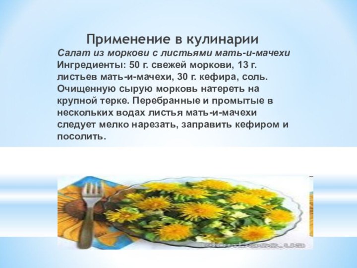 Применение в кулинарии Салат из моркови с листьями