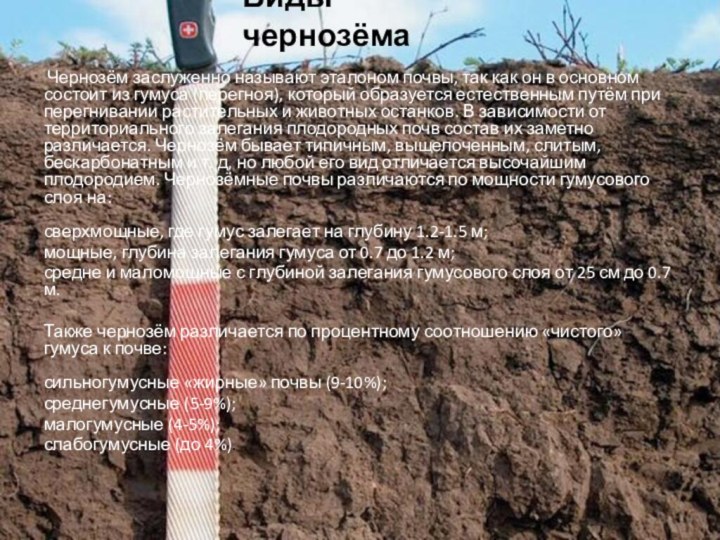 Виды чернозёма Чернозём заслуженно называют эталоном почвы, так как он в основном