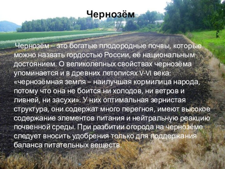Чернозём Чернозём – это богатые плодородные почвы, которые можно назвать гордостью России,