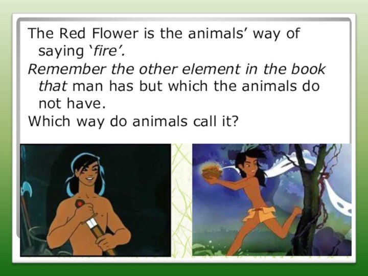 The Red Flower is the animals’ way of saying ‘fire’. Remember the