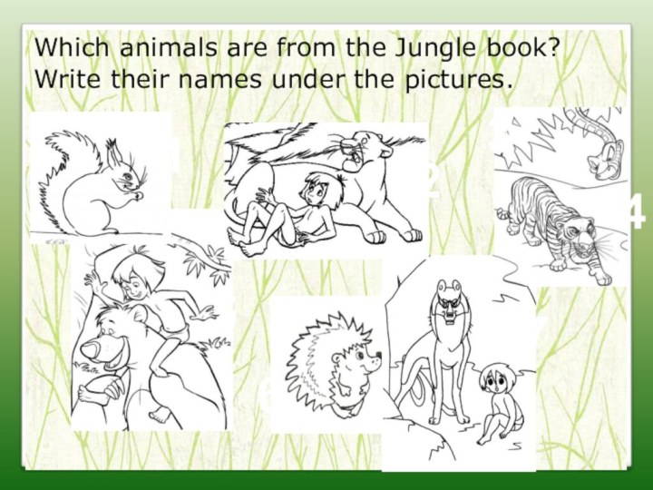 Which animals are from the Jungle book?Write their names under the pictures.2134567