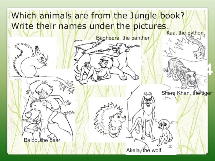 Which animals are from the Jungle book?Write their names under the