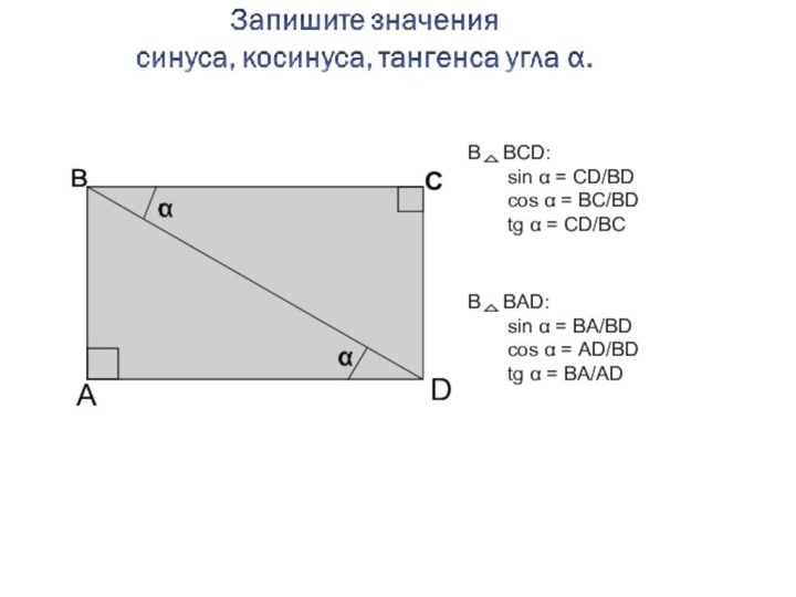 вСАDВ  BCD: 	sin α = CD/BD	cos α = BC/BD	tg α =