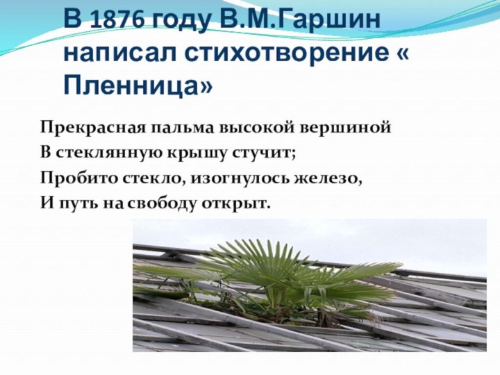 В 1876 году В.М.Гаршин написал стихотворение « Пленница»Прекрасная пальма высокой вершинойВ стеклянную крышу стучит;Пробито