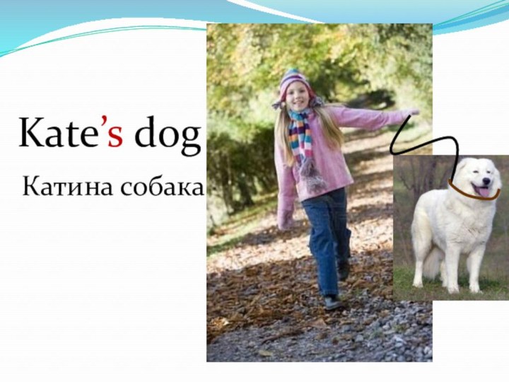 Kate’s dog Катина собака