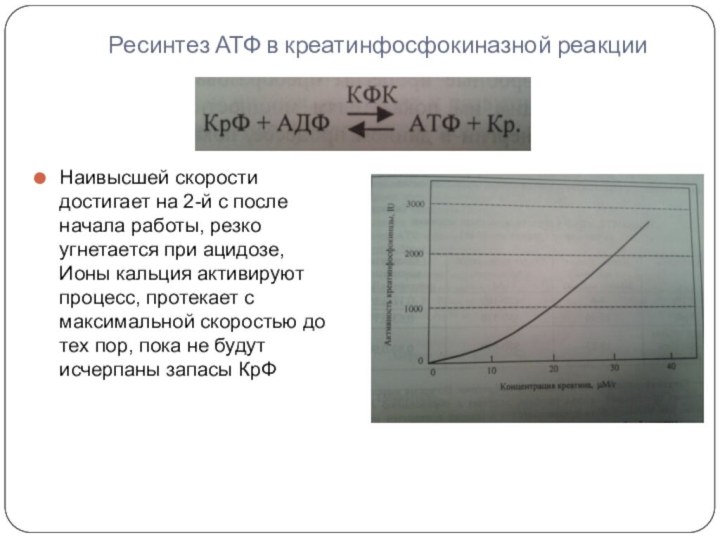 Ресинтез АТФ в креатинфосфокиназной реакцииНаивысшей скорости достигает на 2-й с после начала