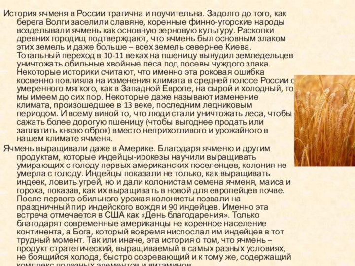История ячменя в России трагична и поучительна. Задолго до того, как берега Волги заселили