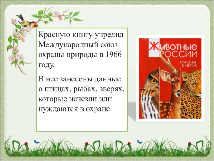 Красную книгу учредил Международный союз охраны природы в 1966 году. В нее