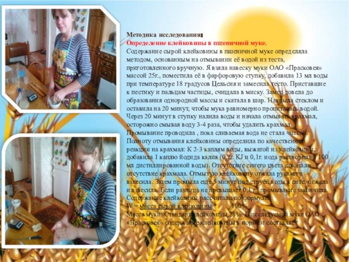 Методика исследования: Определение клейковины в пшеничной муке.Содержание сырой клейковины в пшеничной муке определяла методом,