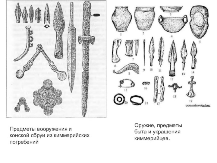 Предметы вооружения и конской сбруи из киммерийских погребений Оружие, предметы быта и украшения киммерийцев.