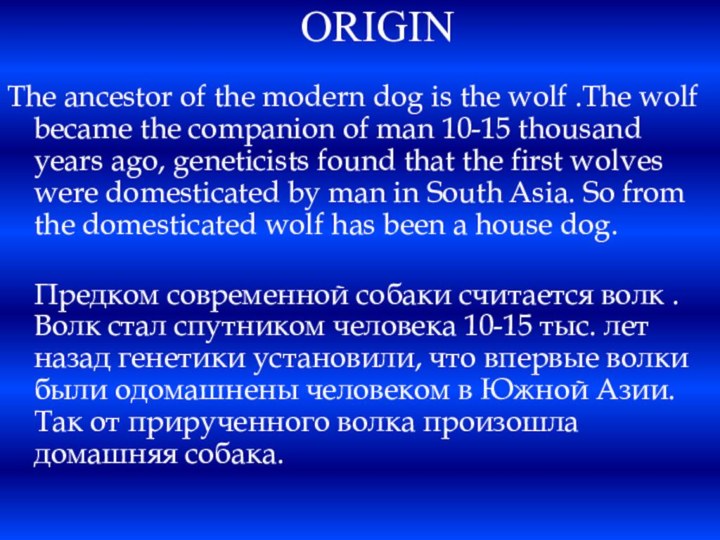 ORIGINThe ancestor of the modern dog is the wolf .The wolf became
