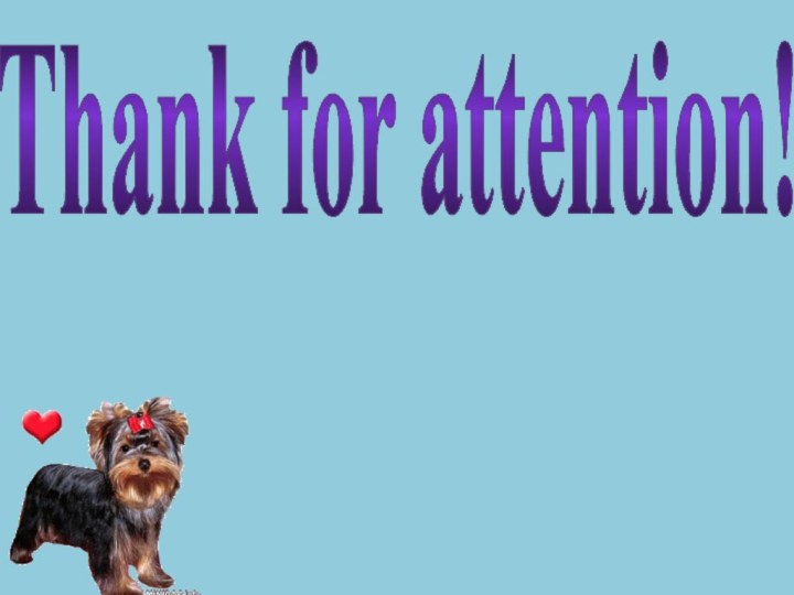 Thank for attention!