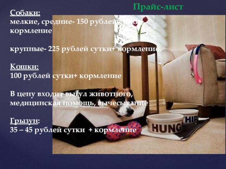 Собаки: мелкие, средние- 150 рублей сутки+ кормление  крупные- 225 рублей сутки+