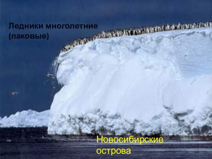 Ледники многолетние (паковые)Новосибирские острова
