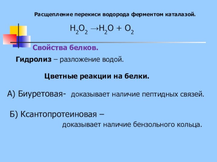 Расщепление перекиси водорода ферментом каталазой.H2O2 →H2O + O2Цветные реакции на белки.А) Биуретовая- доказывает наличие пептидных