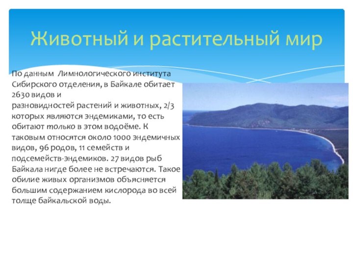 Животный и растительный мирПо данным  Лимнологического института Сибирского отделения, в Байкале