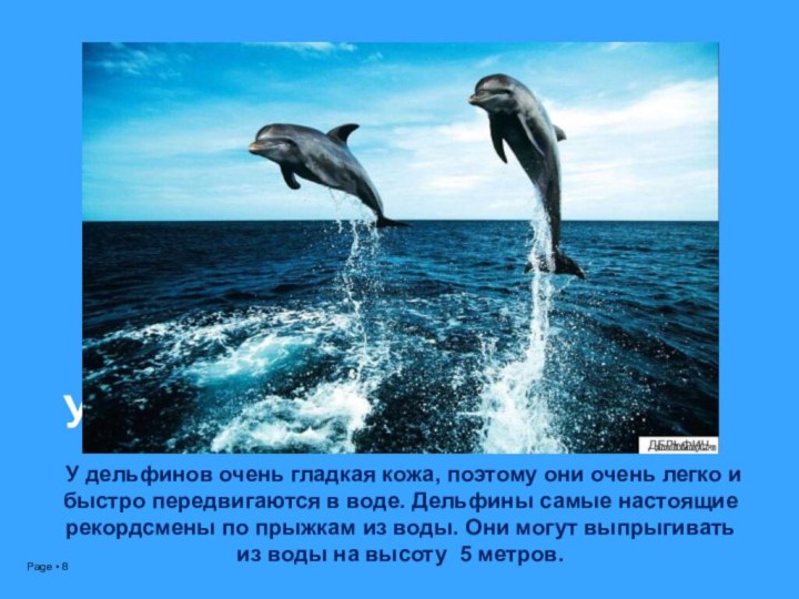 УУ дельфинов очень гладкая кожа, поэтому они очень легко и быстро передвигаются в воде.