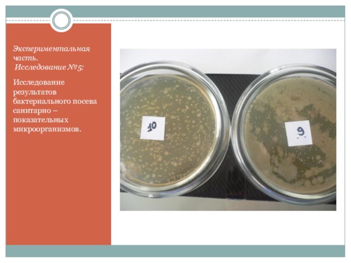 Экспериментальная часть.  Исследование №5:Исследование результатов бактериального посева санитарно – показательных микроорганизмов.