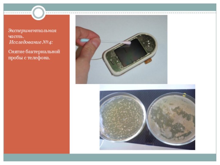 Экспериментальная часть.  Исследование №4:Снятие бактериальной пробы с телефона.