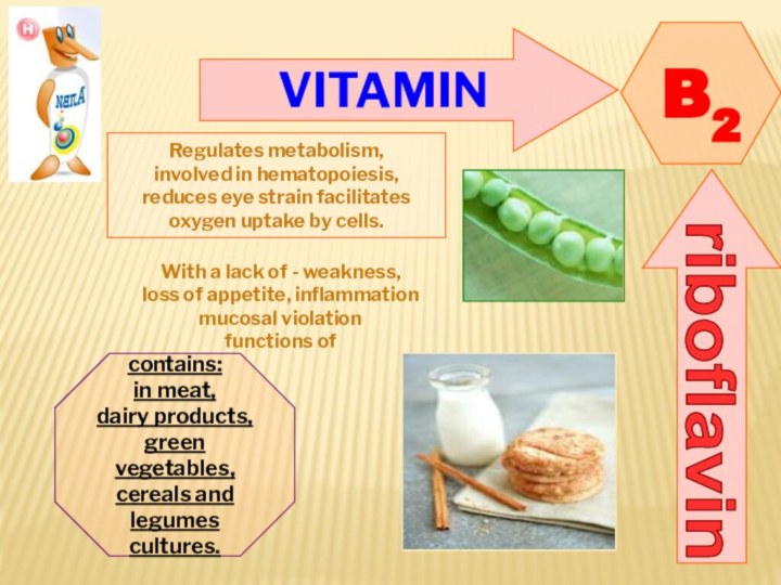 VITAMINB2riboflavinRegulates metabolism, involved in hematopoiesis, reduces eye strain facilitates oxygen uptake by cells.With a