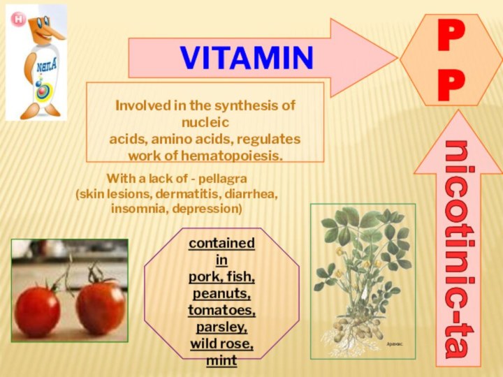 VITAMINPPnicotinic-taInvolved in the synthesis of nucleic acids, amino acids, regulates work of hematopoiesis.contained in
