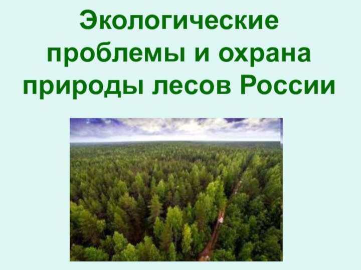 Экологические проблемы и охрана природы лесов России