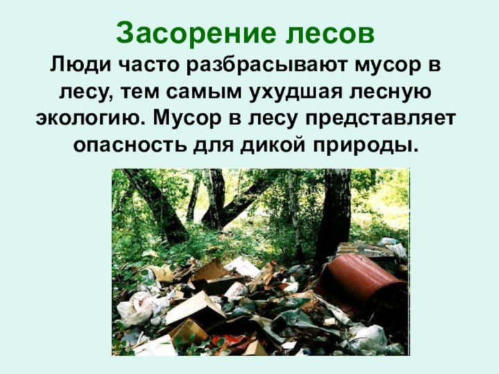 Засорение лесов Люди часто разбрасывают мусор в лесу, тем самым ухудшая лесную