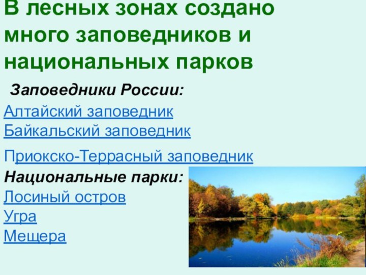 В лесных зонах создано много заповедников и национальных парков  Заповедники России: