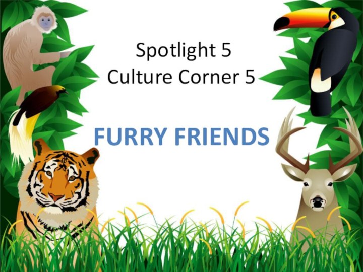 Spotlight 5  Culture Corner 5Furry friends