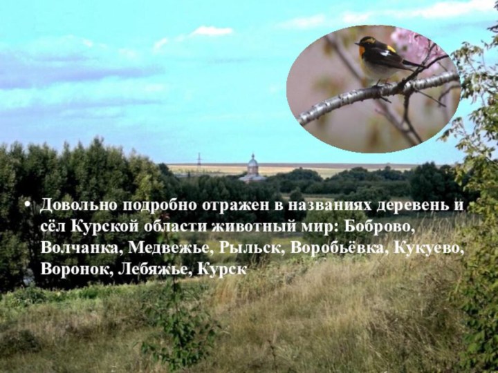 Довольно подробно отражен в названиях деревень и сёл Курской области животный мир:
