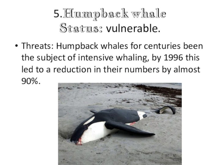 5.Humpback whale Status: vulnerable.Threats: Humpback whales for centuries been the subject