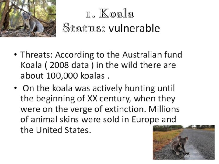 1. Koala  Status: vulnerable Threats: According to the Australian fund Koala