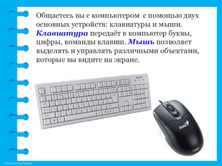 Общаетесь вы с компьютером с помощью двух основных устройств: клавиатуры и мыши.
