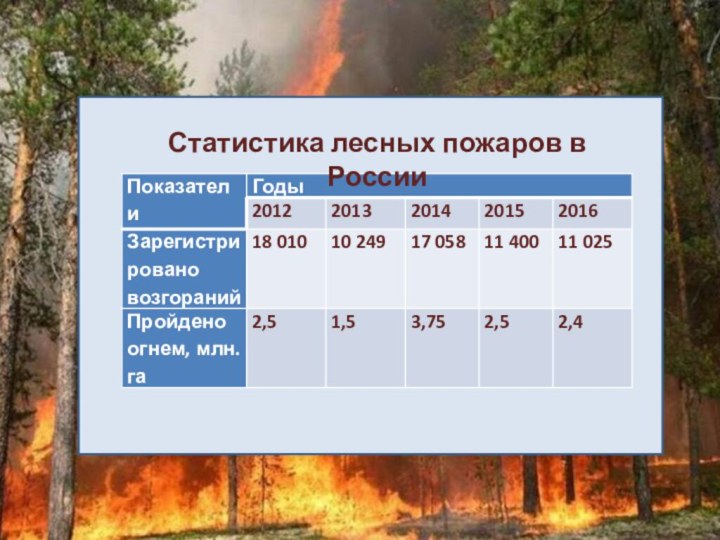 Статистика лесных пожаров в России