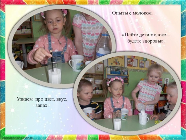 Опыты с молоком.«Пейте дети молоко – будете здоровы».Узнаем про цвет, вкус, запах.