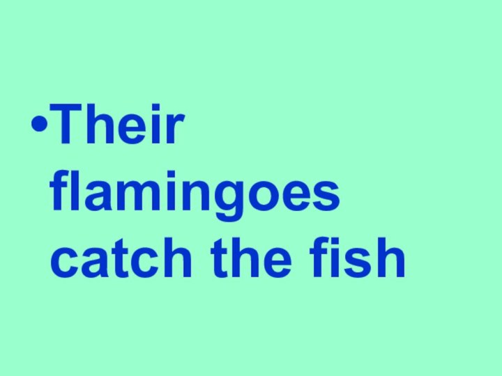Their flamingoes catch the fish
