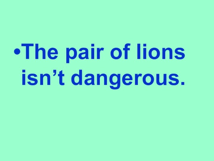 The pair of lions isn’t dangerous.