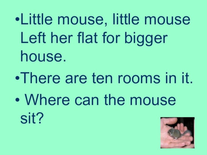 Little mouse, little mouse     Left her flat