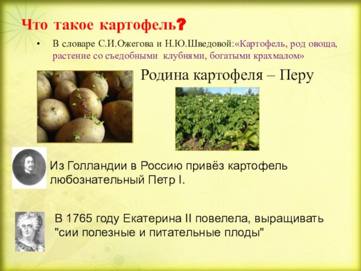 Что такое картофель? В словаре С.И.Ожегова и Н.Ю.Шведовой:«Картофель, род овоща, растение со