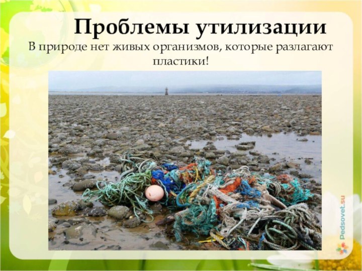 Проблемы утилизации В природе нет живых организмов, которые разлагают пластики!